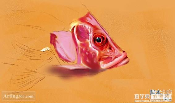 教你用Painter绘制一条逼真的红鲤鱼5