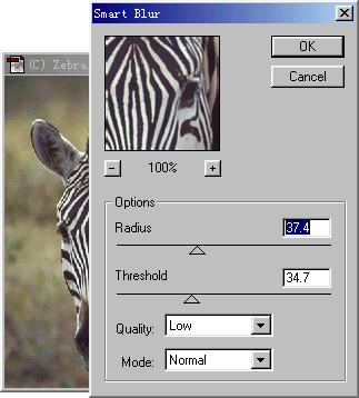 Photoshop6柔化滤镜应用技巧实例详细教程12