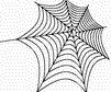 如何使用freehand创建蜘蛛网效果1