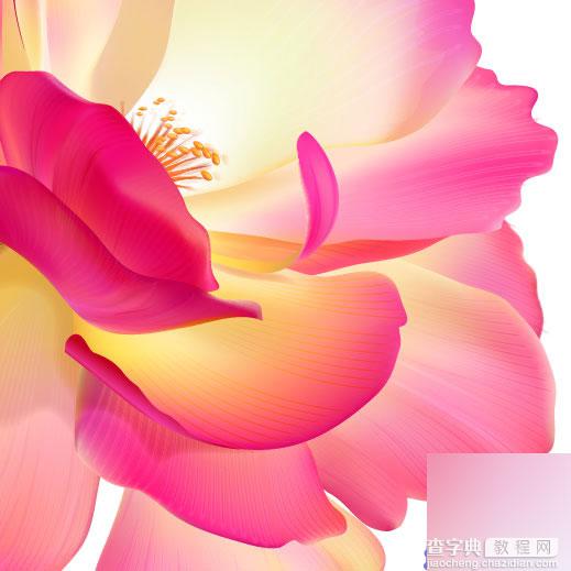 Illustrator网格工具绘制逼真漂亮的花瓣1