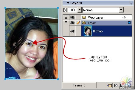 FWMX2004移除相片红眼效果的工具使用讲解3