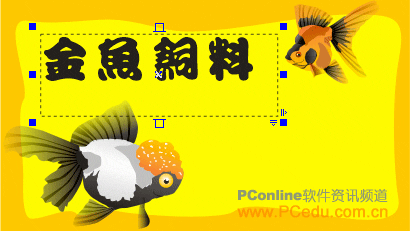 CorelDRAW(CDR)设计制作形状各异的金鱼饲料的立体包装盒实例教程9