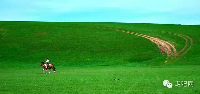 从呼伦贝尔大草原回来 摄影师惊呼原来天堂的颜色是绿色！8