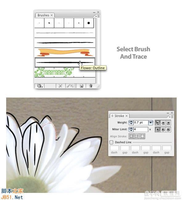Illustrator(AI)模仿真实花朵绘制出具有水彩矢量效果的花卉图实例介绍7