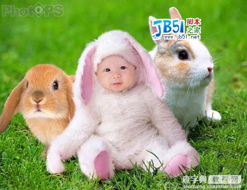 Photoshop技术为你打造一个兔宝宝7