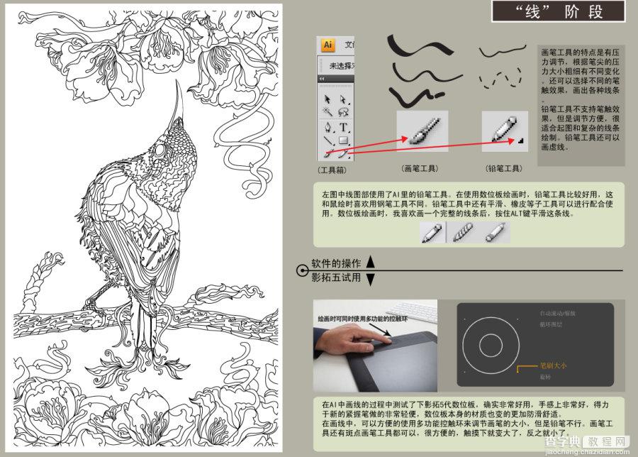 AI结合数位板绘制漂亮翠鸟插画过程解析3