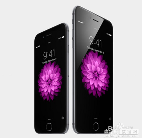 iPhone6 Plus港版怎么预定? 苹果6港版淘宝预约购买方法详细步骤1