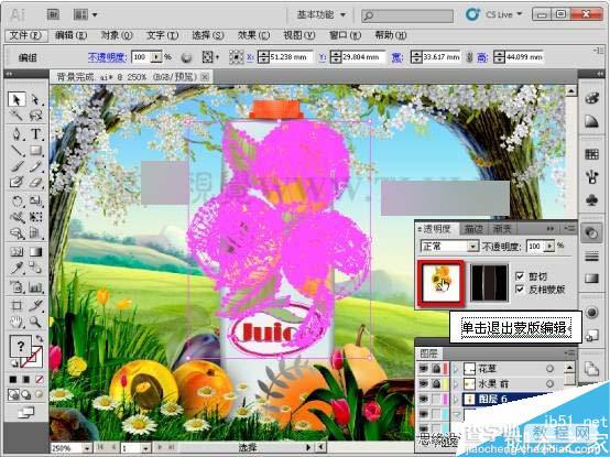 AI CS5利用蒙版功能制作超漂亮的果汁海报30