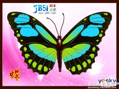 Photoshop路径工具鼠绘美丽的彩色蝴蝶12