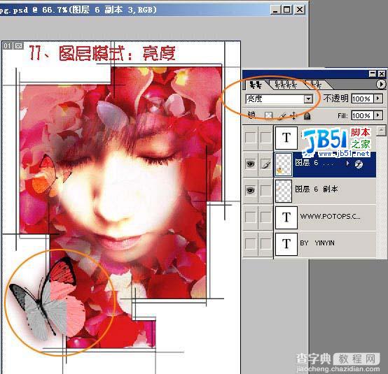 Photoshop教程 ：把MM照片制作为花瓣签名14