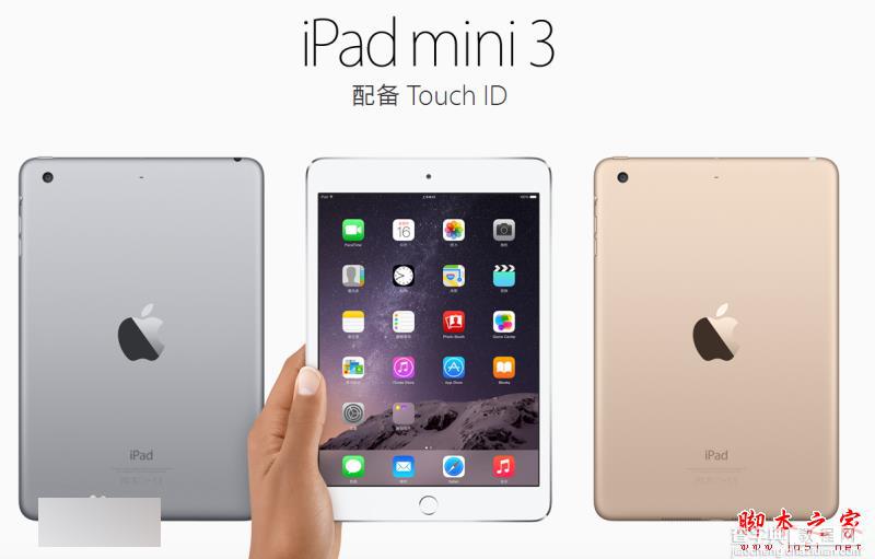 iPad air 3和iPad mini 3哪个好？ 苹果iPad air3和iPad mini3区别对比评测4