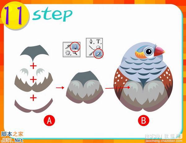 Illustrator(AI)设计绘制出可爱的猫头鹰形状的山雀小鸟实例教程11