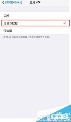 iPhone6如何启用VoLTE?iPhone6 VoLTE设置教程7