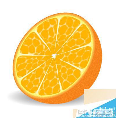 用AI绘制逼真可口的半个橙子效果图1
