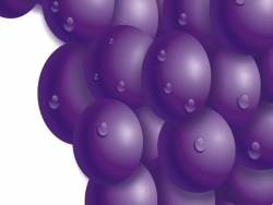 CorelDRAW X3绘制一串带有露珠的真实紫葡萄11