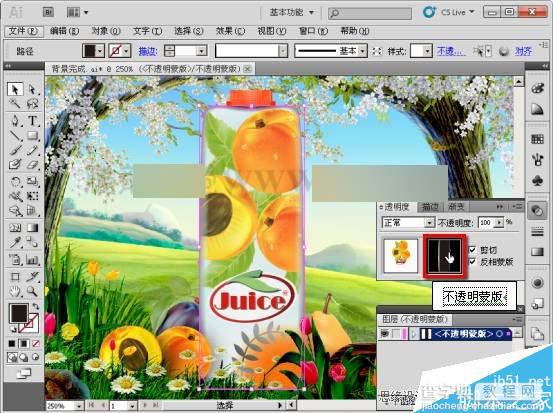 AI CS5利用蒙版功能制作超漂亮的果汁海报29
