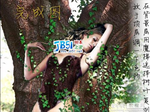 Photoshop图片合成教程:美女和树8