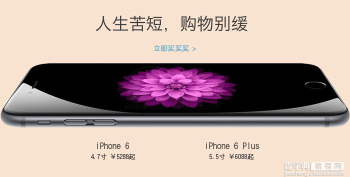 [更新]应该买哪个版本?国内外iPhone 6/6 Plus版本差异表格(购买路径汇总)1