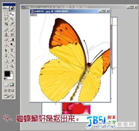 Photoshop教程 ：把MM照片制作为花瓣签名12