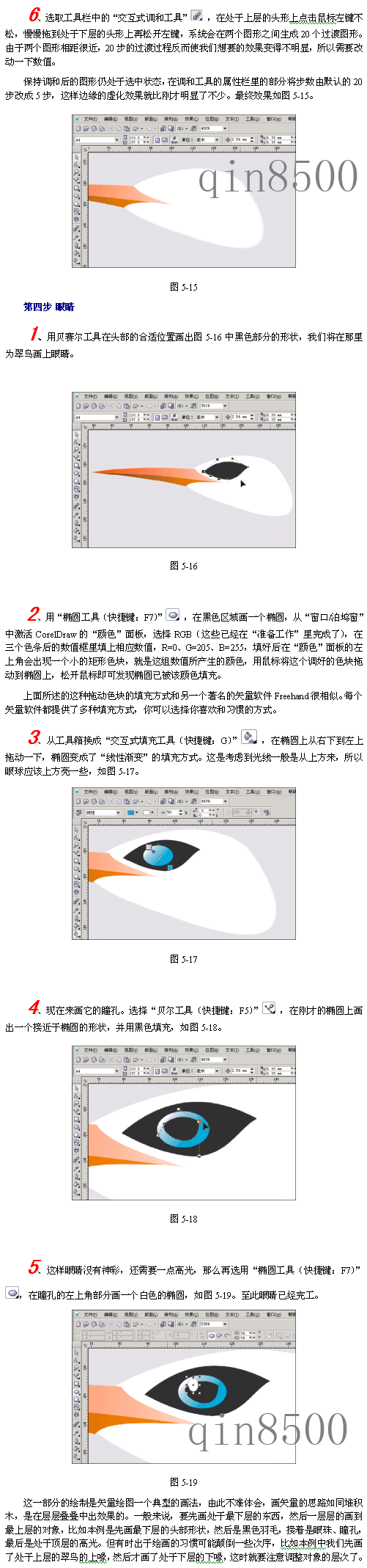 CorelDraw(CDR)模仿绘制出逼真的翠鸟实例教程3