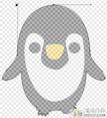 PS新手教程之PS钢笔工具的使用操作描绘出企鹅的轮廓16