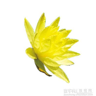 Photoshop设计快速制作出漂亮的花朵浮雕水晶字10
