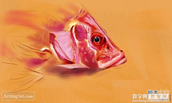 教你用Painter绘制一条逼真的红鲤鱼6