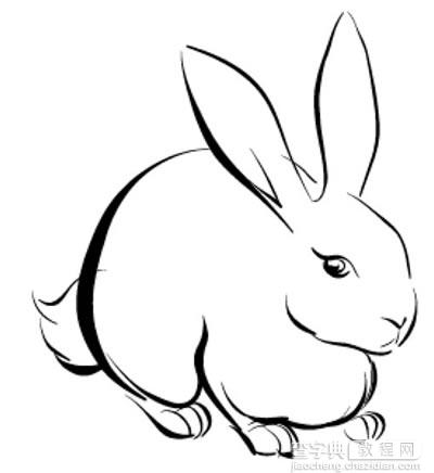 Illustrator Intuos2 画可爱活泼的小兔6