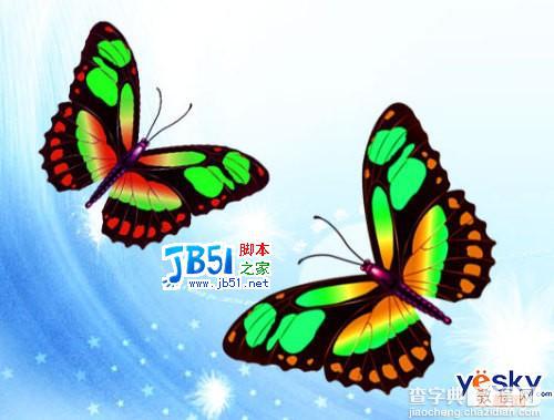 Photoshop路径工具鼠绘美丽的彩色蝴蝶13