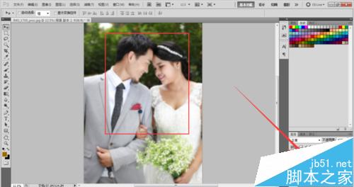 PS利用锐化工具把模糊图片处理变的清晰2