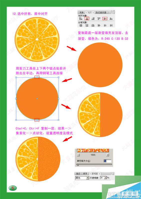 用AI绘制逼真可口的半个橙子效果图6
