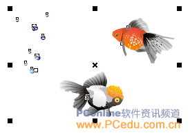 CorelDRAW(CDR)设计制作形状各异的金鱼饲料的立体包装盒实例教程6