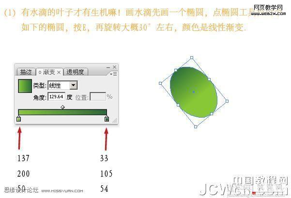 Illustrator 绘制绿叶环保的精致货牌10