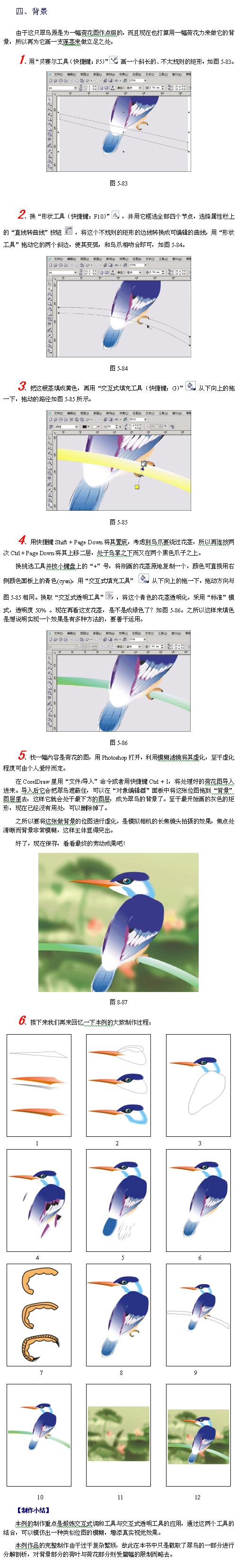 CorelDraw(CDR)模仿绘制出逼真的翠鸟实例教程8