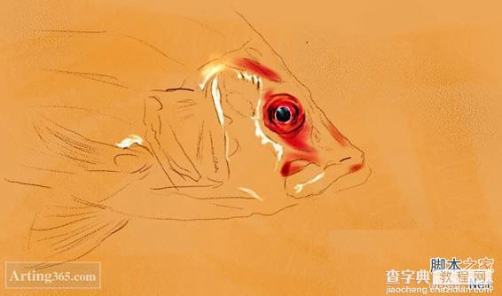 教你用Painter绘制一条逼真的红鲤鱼3