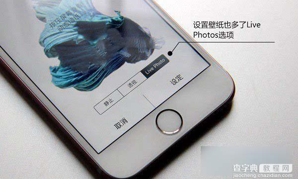 苹果iPhone6s玫瑰金Live Photos动态拍照功能如何使用？Live Photos新功能的作用3
