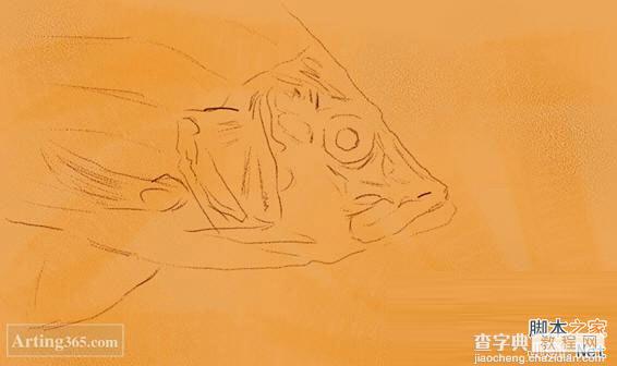 教你用Painter绘制一条逼真的红鲤鱼2