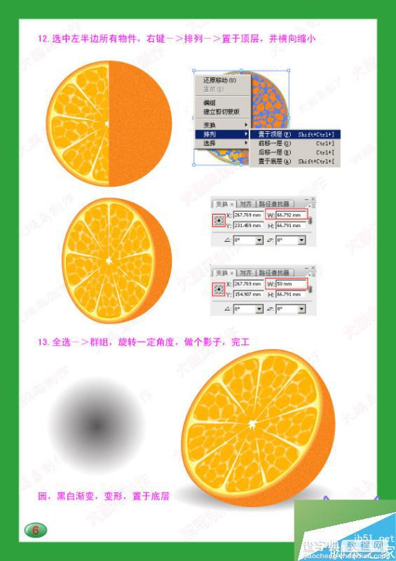 用AI绘制逼真可口的半个橙子效果图7