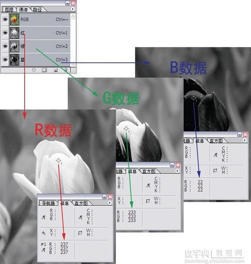 PS通道从入门到精通深度剖析教程3