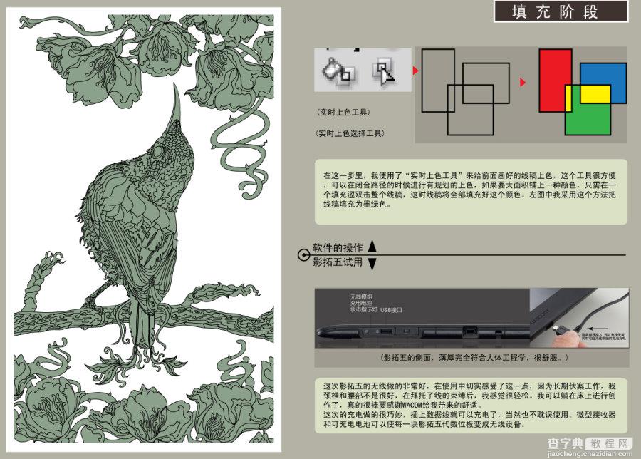 AI结合数位板绘制漂亮翠鸟插画过程解析4