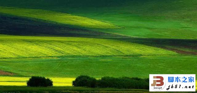 从呼伦贝尔大草原回来 摄影师惊呼原来天堂的颜色是绿色！7