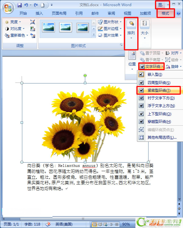 Word2007中如何让文字紧挨图片2