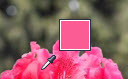 使用取色器匹配PowerPoint2013幻灯片上的颜色具体操作图解2