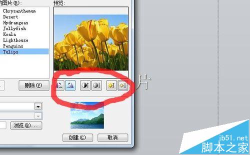 PPT2010怎么批量导入照片? PPT批量导入的方法5