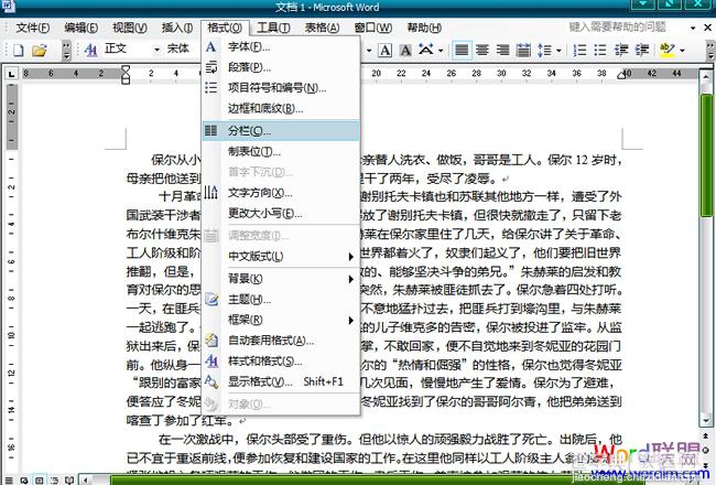 如何给word文档分栏的方法小结(word2003,word2007,word2010)5
