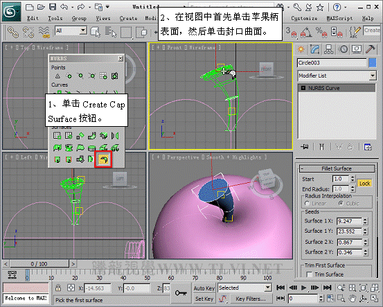 3dmax 2011 高级建模方式NURBS33