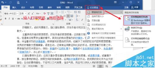 word2016怎么打印? Word2016打印预览的设置方法2