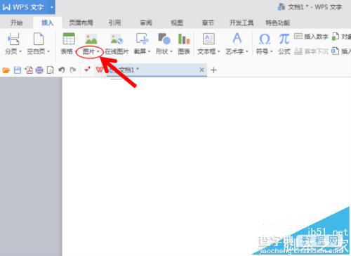 WPS文档中怎么将图片与自己绘制的图形组合?3