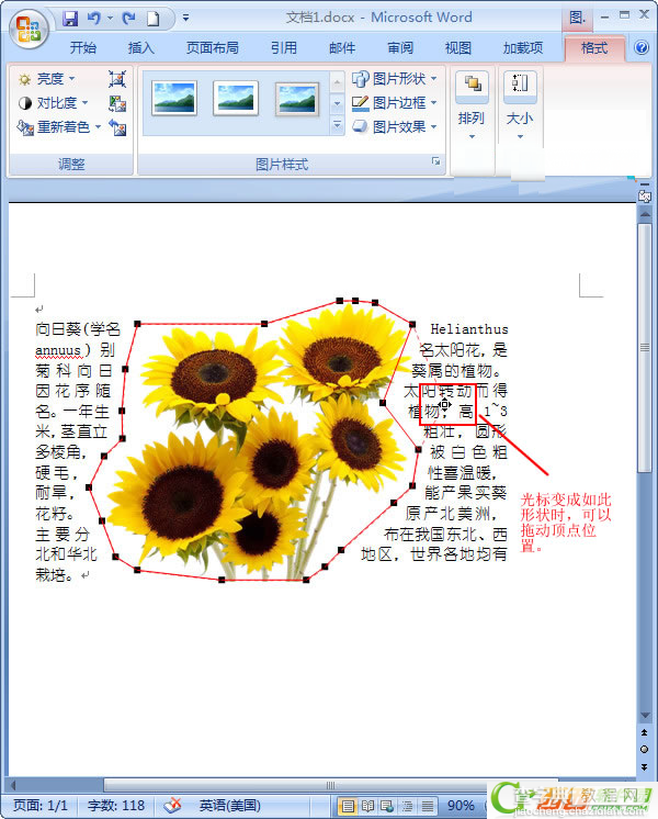 Word2007中如何让文字紧挨图片5