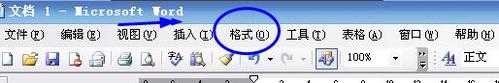 在Word2003中添加水印的方法2